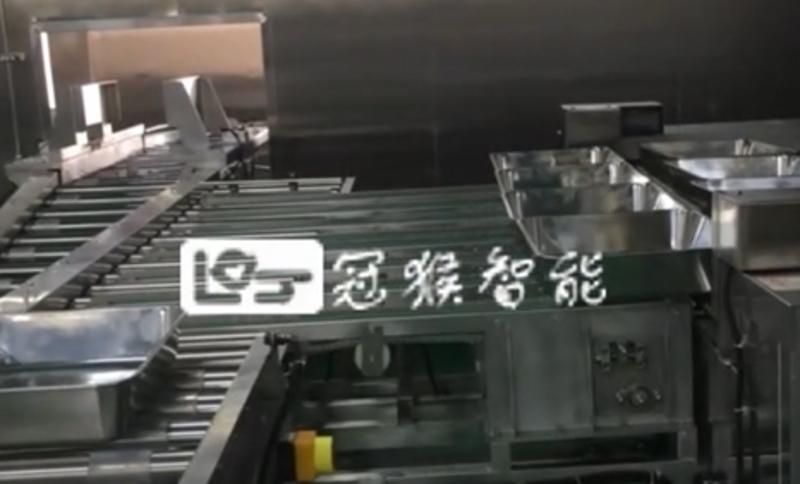 四排頂升輸送機