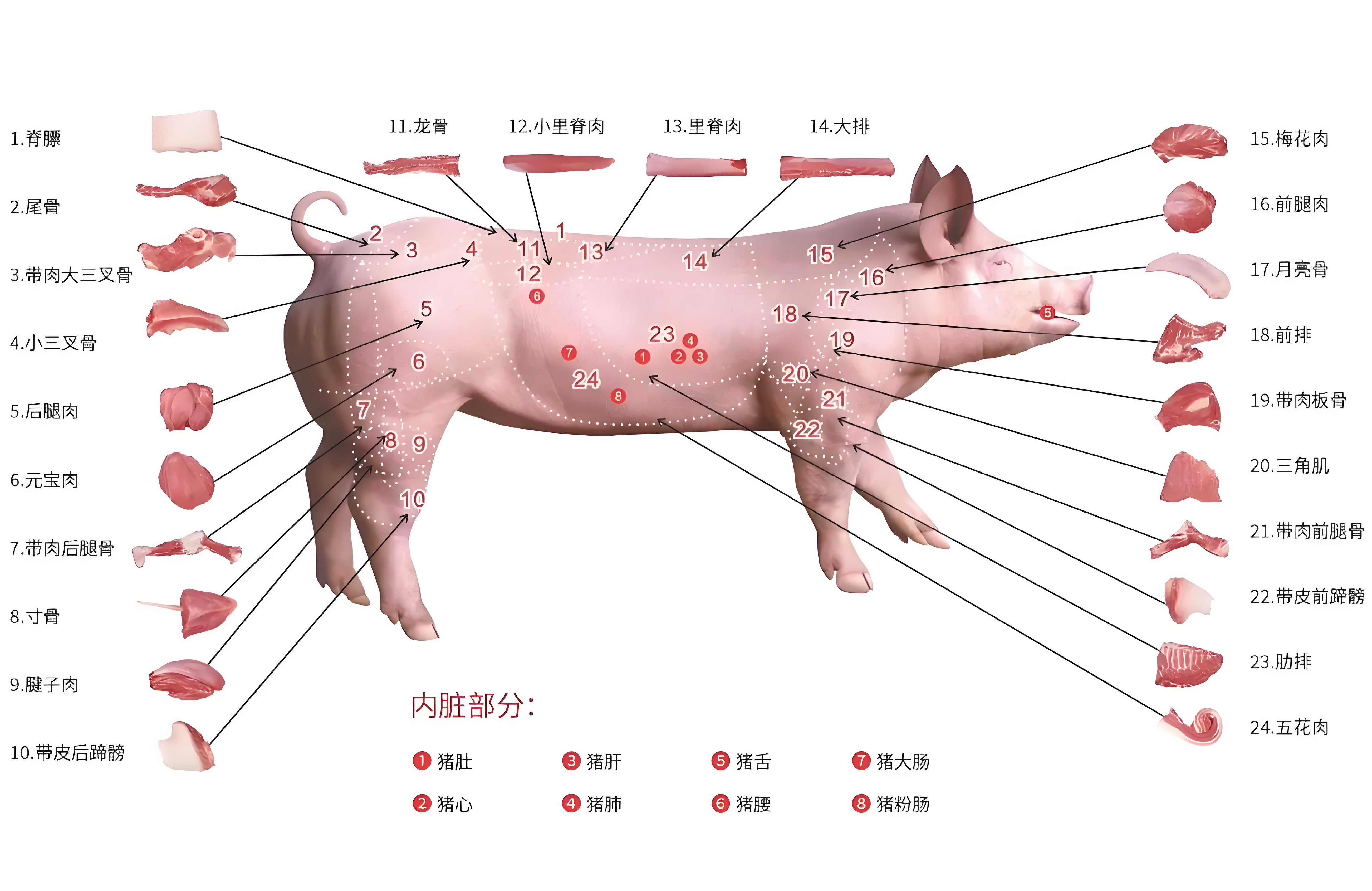 肉類(lèi)分割整廠(chǎng)生產(chǎn)線(xiàn)